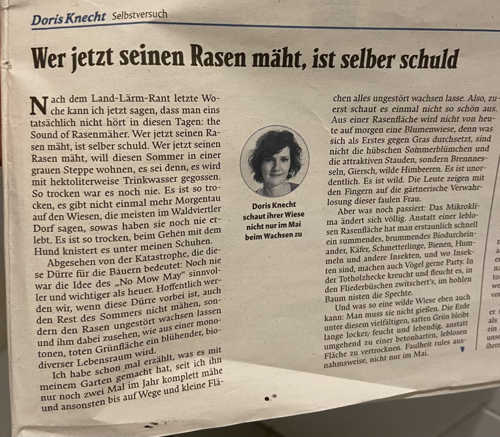 img_1398-1024x895 Wer jetzt seinen Rasen mäht, ist selber schuld!